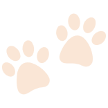 paws-6 (3)
